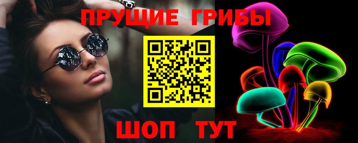 Псилоцибиновые грибы Psilocybine cubensis Рыбинск